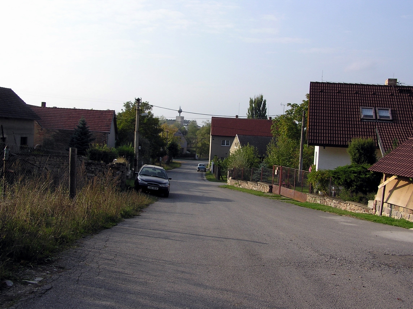 174.jpg
