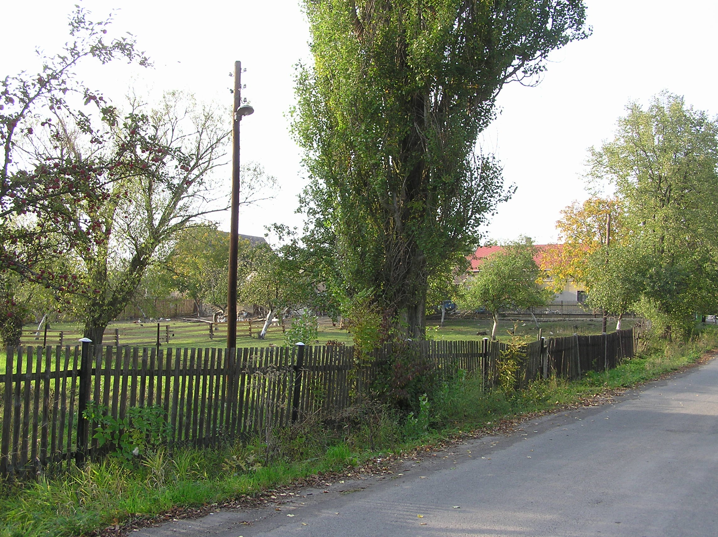 187.JPG