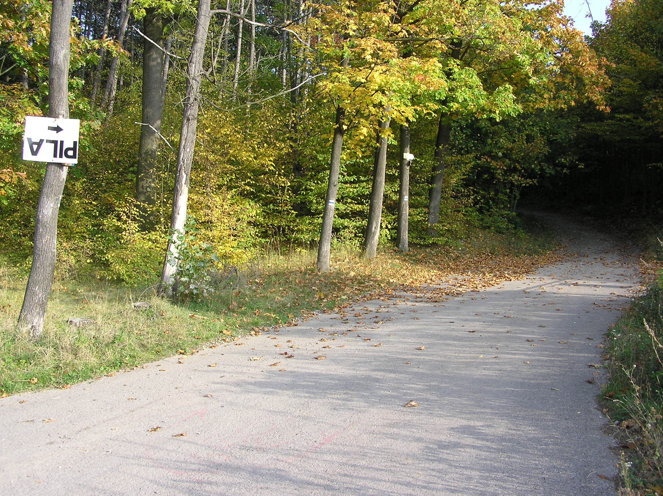 173.JPG