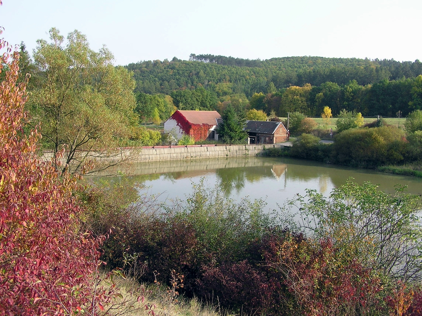 136.jpg